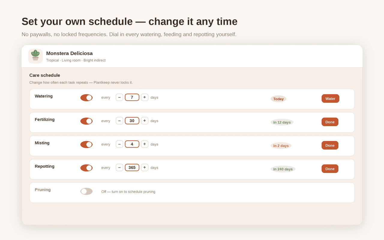 Custom care schedules