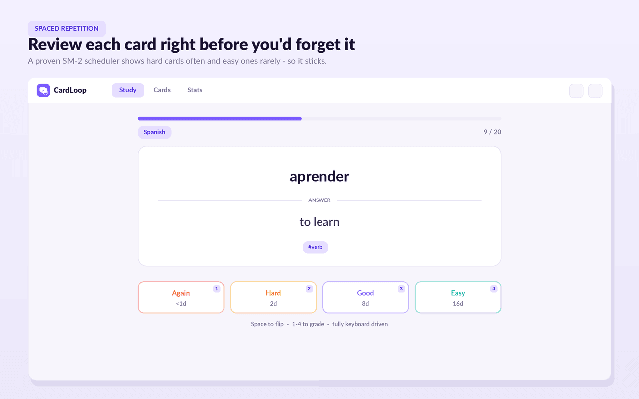 CardLoop study mode